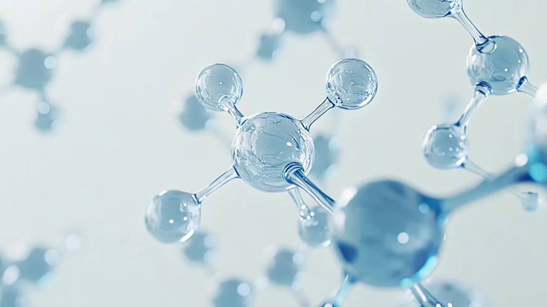 一本正草生物